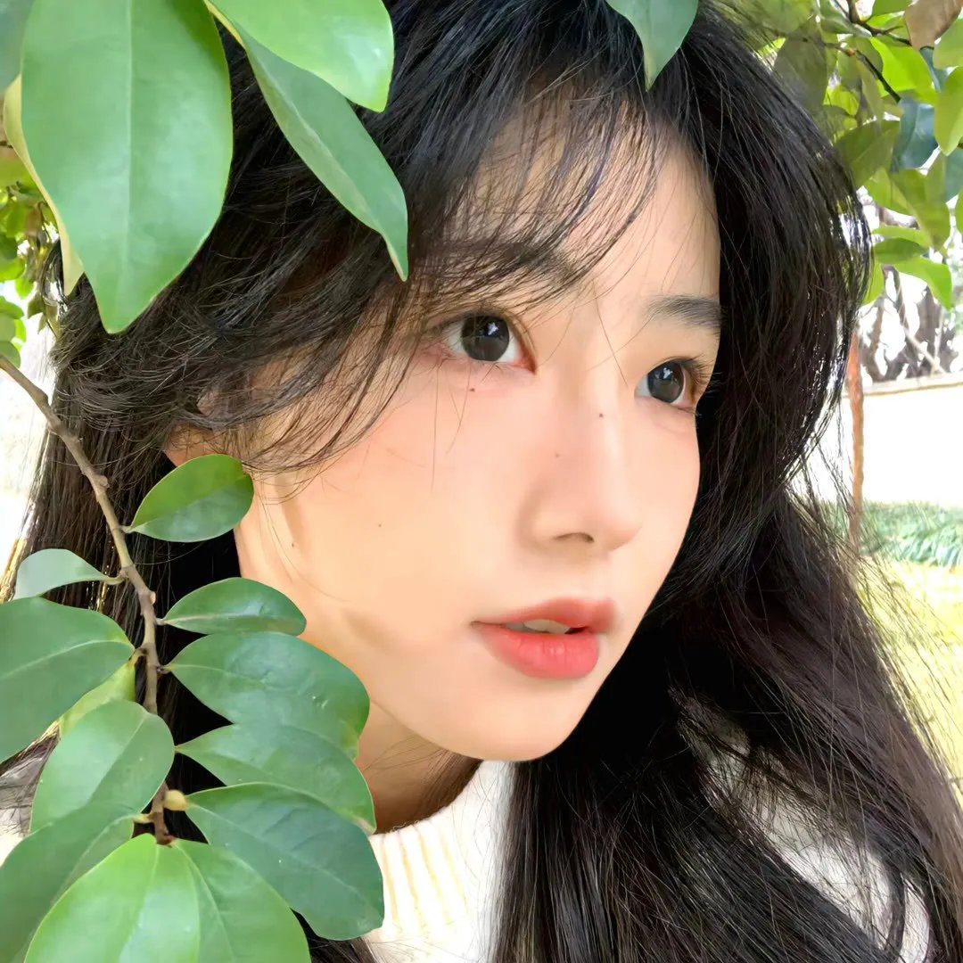 交媾知识